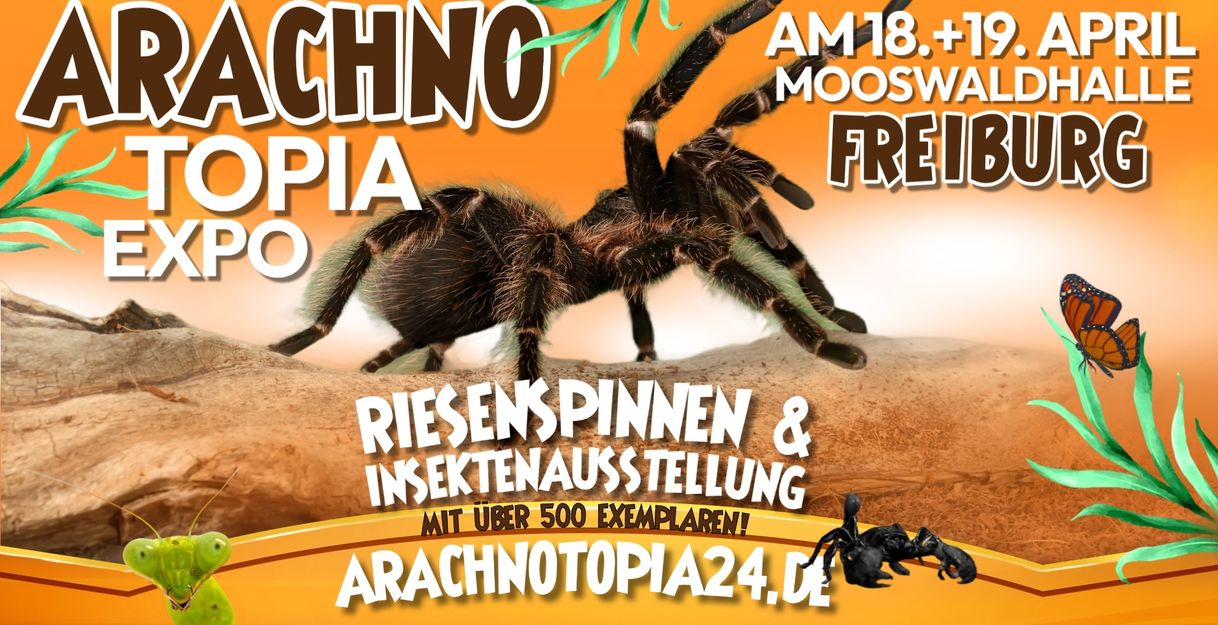 Arachnotopia Veranstaltungshinweis