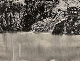 Uferlandschaft in schwarz/weiss