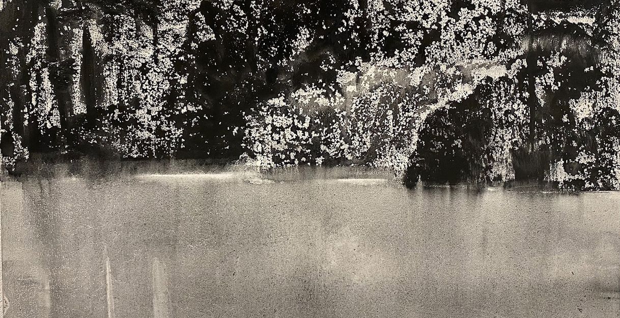 Uferlandschaft in schwarz/weiss